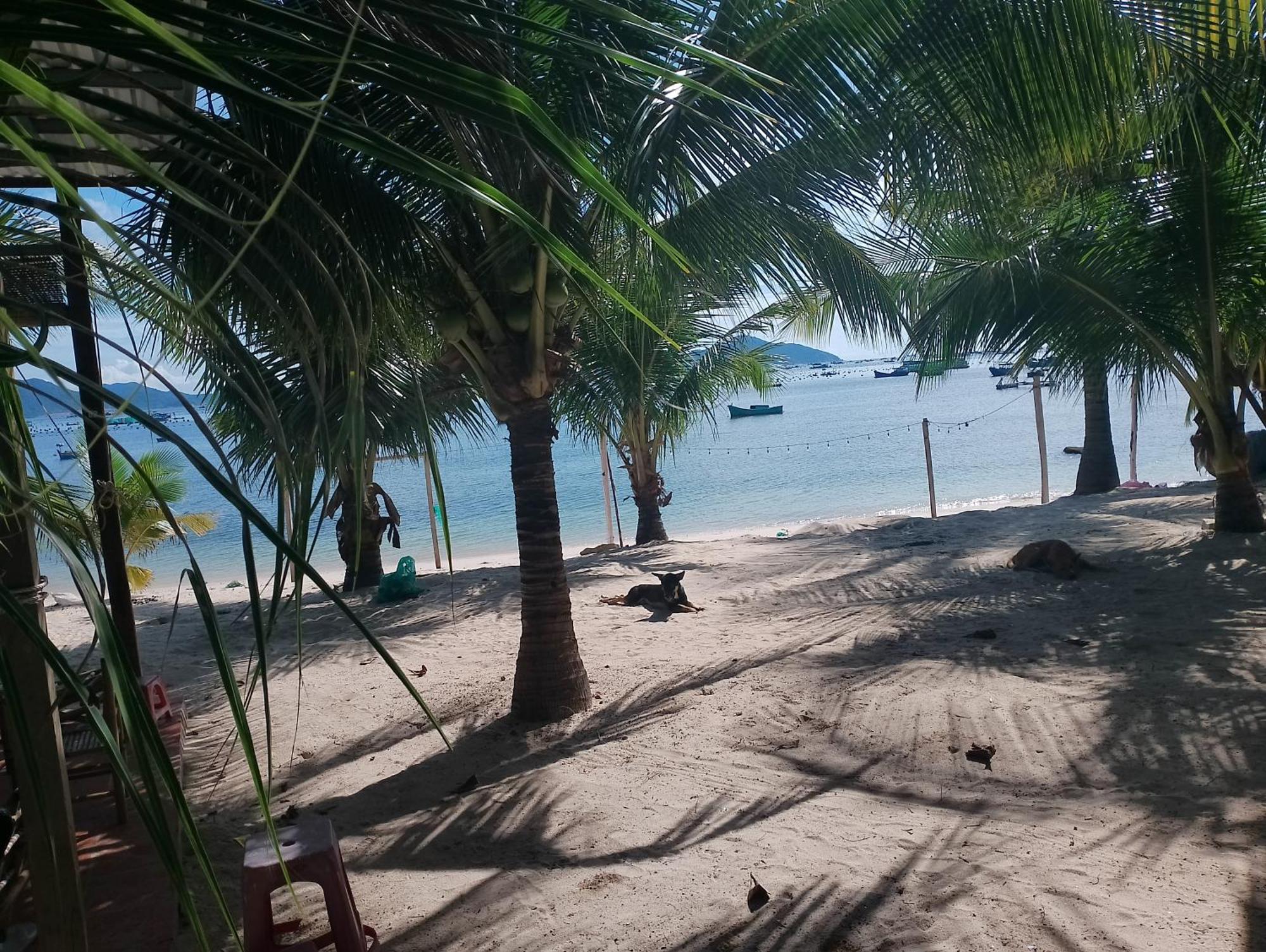 The Sunrise Anh Tu Hotell Cam Ranh Rom bilde
